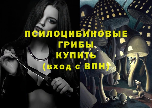 молекула духа Магадан