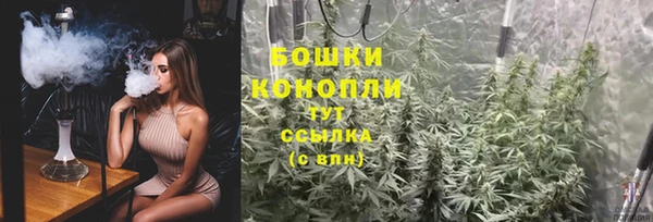 молекула духа Магадан