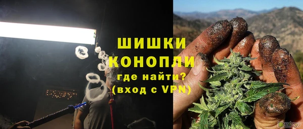 молекула духа Магадан