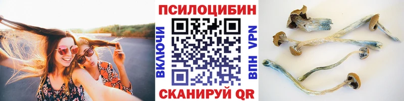 Псилоцибиновые грибы мицелий Новороссийск