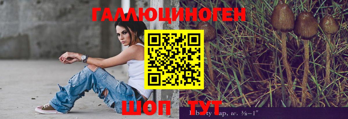 Галлюциногенные грибы MAGIC MUSHROOMS  Галлюциногенные грибы Cubensis  Вход с VPN  Новороссийск 