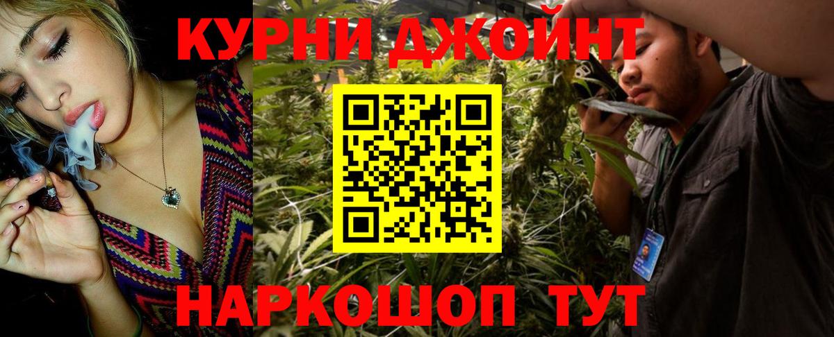 МАРИХУАНА ГИДРОПОН  Вход с VPN  Новороссийск  Марихуана гибрид  Канабис план 